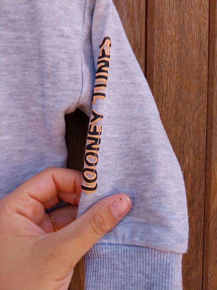 Pull bébé garçon 12.18 mois ( 86 cm ) looney tunes - photo numéro 3