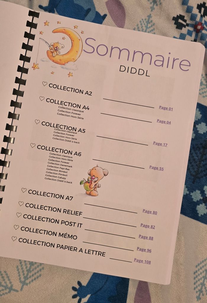 Registre / Référentiel Diddl 150 pages - photo numéro 3