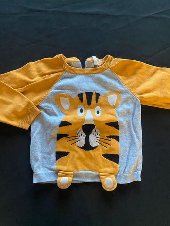 Pull tigre