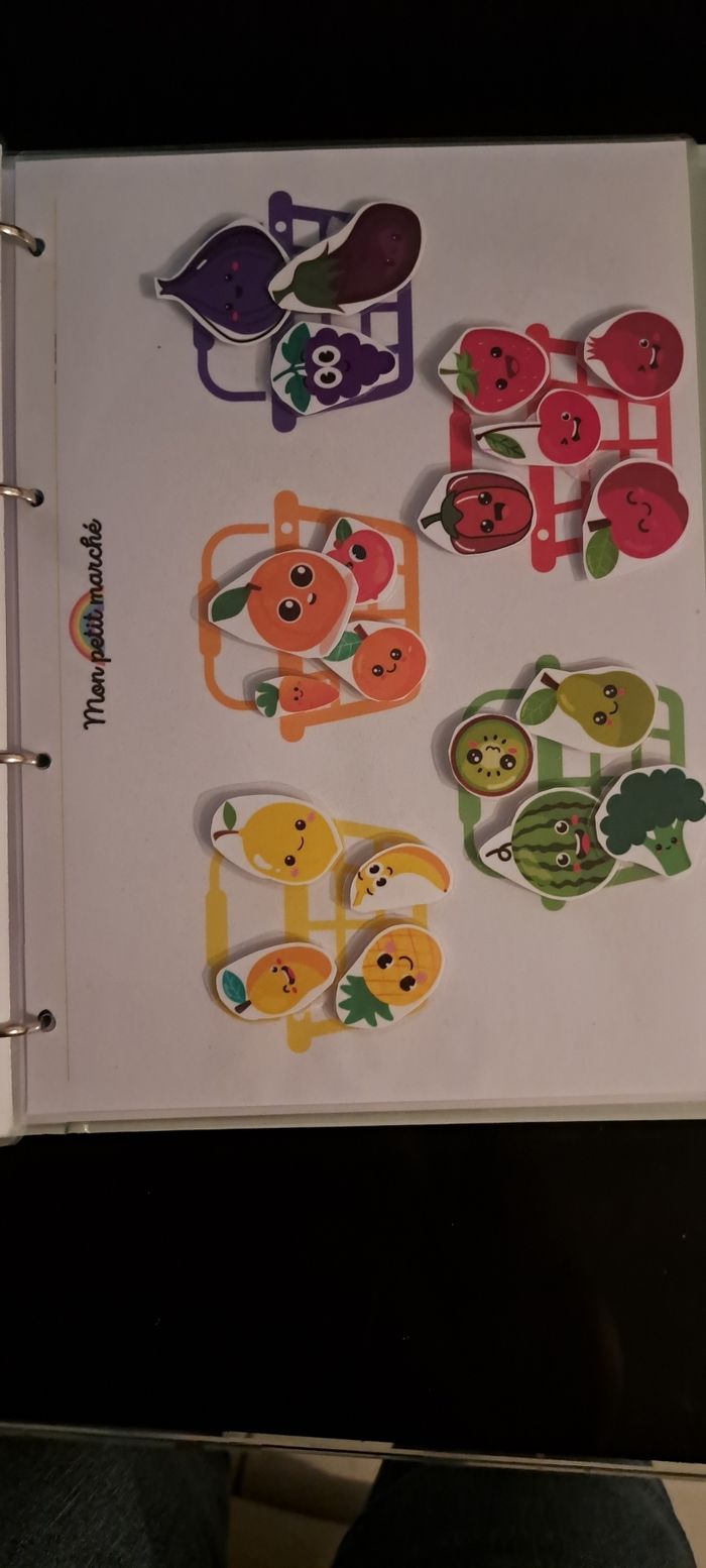 Classeur d'activité - photo numéro 4