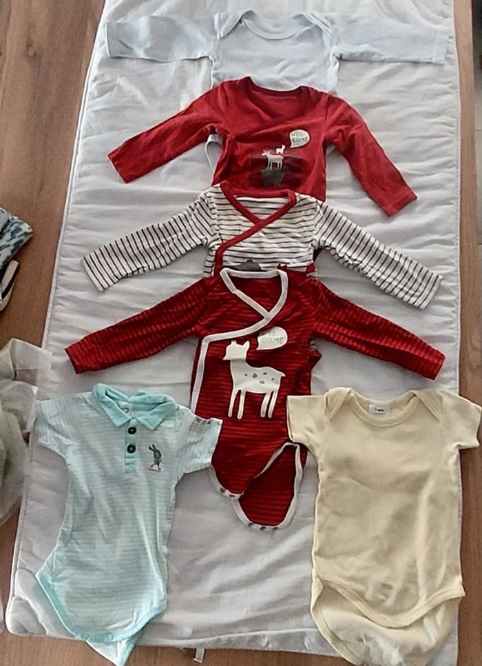 lot de 6 bodies taille 6 mois
