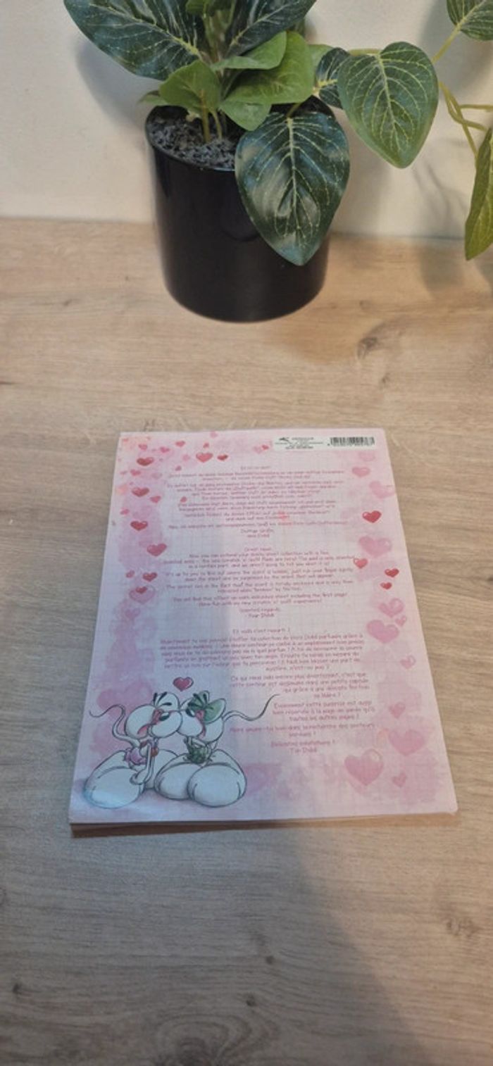 Carnet de feuilles diddl - photo numéro 4