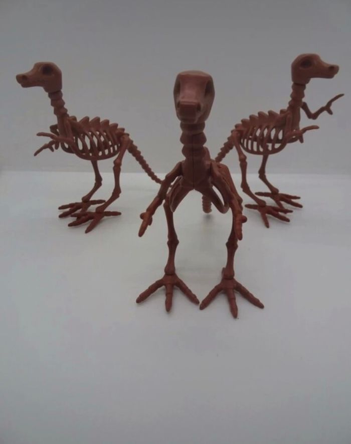 3 squelette dinosaure - photo numéro 3