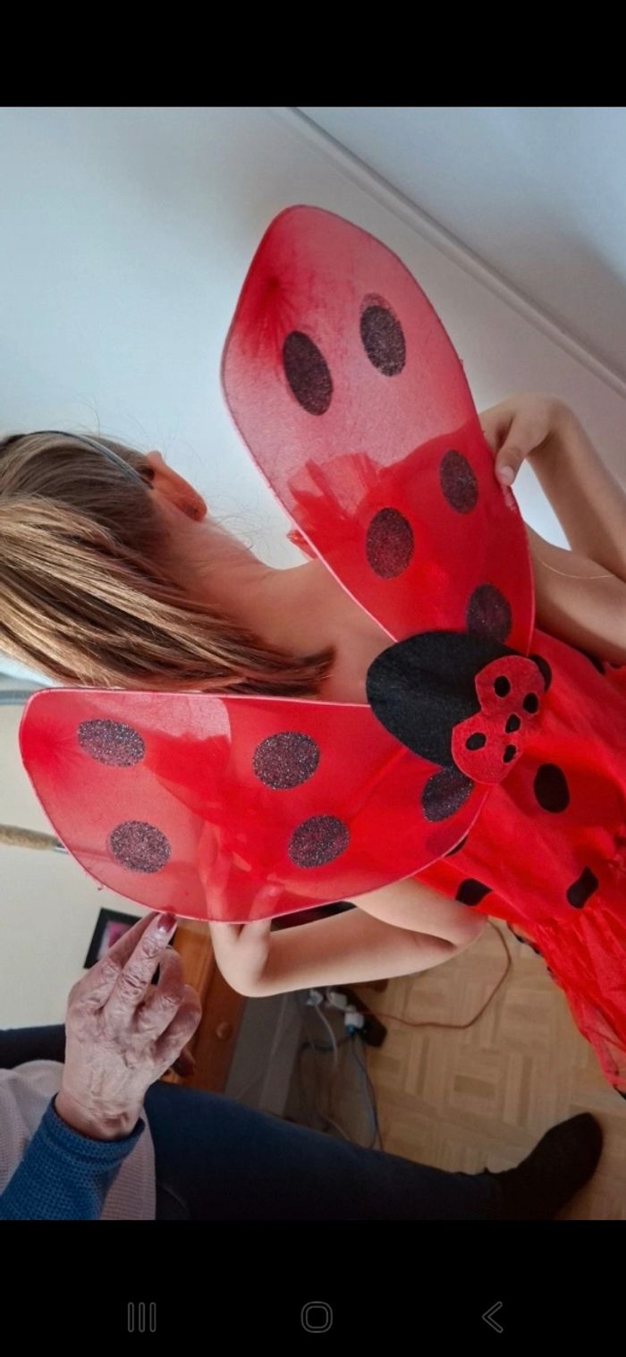Déguisement coccinelle 🐞 - photo numéro 3
