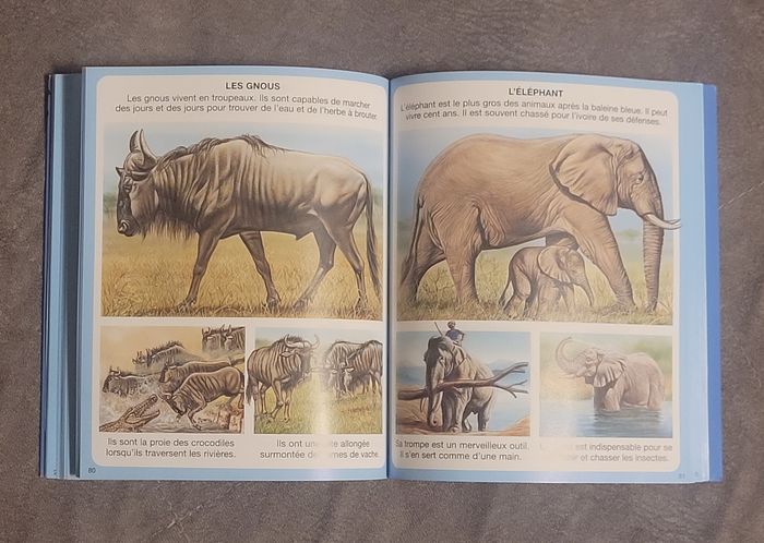 L'imagerie des animaux - Fleurs - photo numéro 3