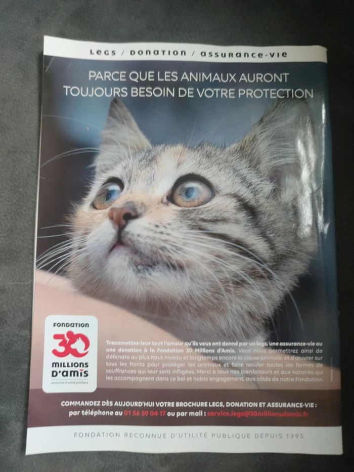 Magazine 30 millions d'amis numéro 377 octobre 2019 - photo numéro 2