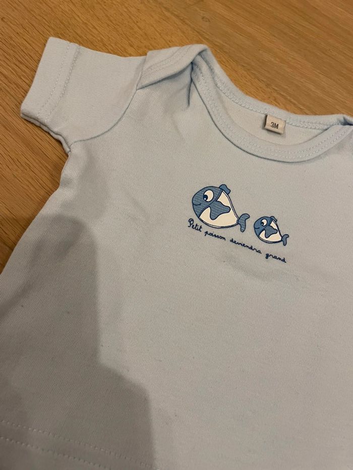 Lot 3 t-shirts MC - 3mois - photo numéro 2