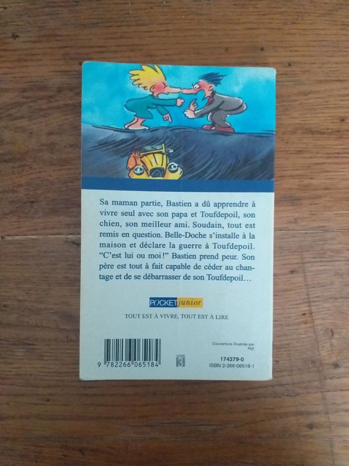 Toufdepoil - photo numéro 2