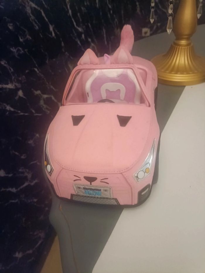 Voiture nanana - photo numéro 2