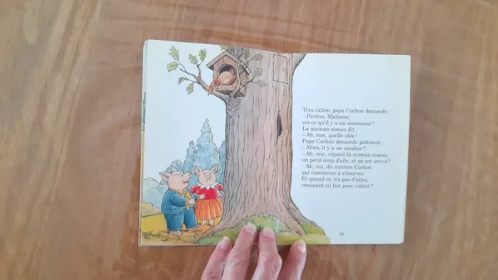 Lot 3 livres jeunesse - photo numéro 5