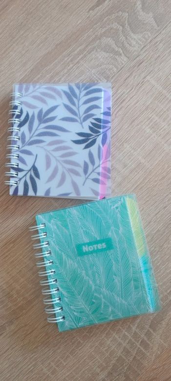 Lot de deux petits carnets