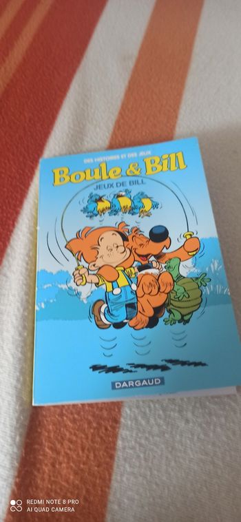 Livre de jeux boule et bill