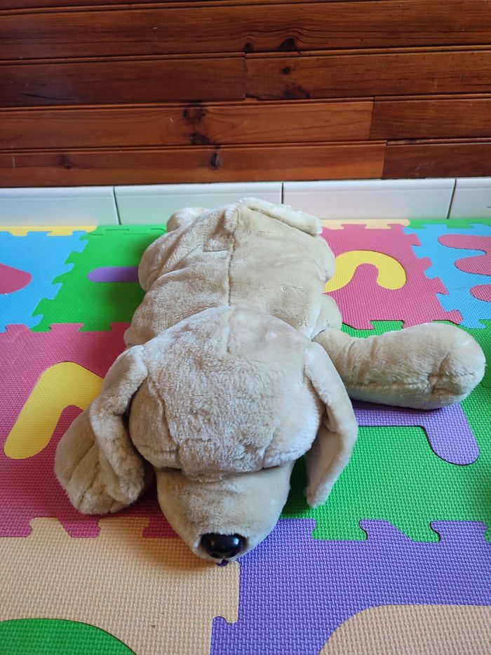 Chien - photo numéro 2