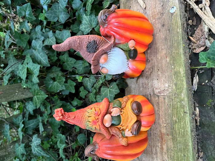 Couple de lutin gnome des forêt sur Citrouille - photo numéro 3