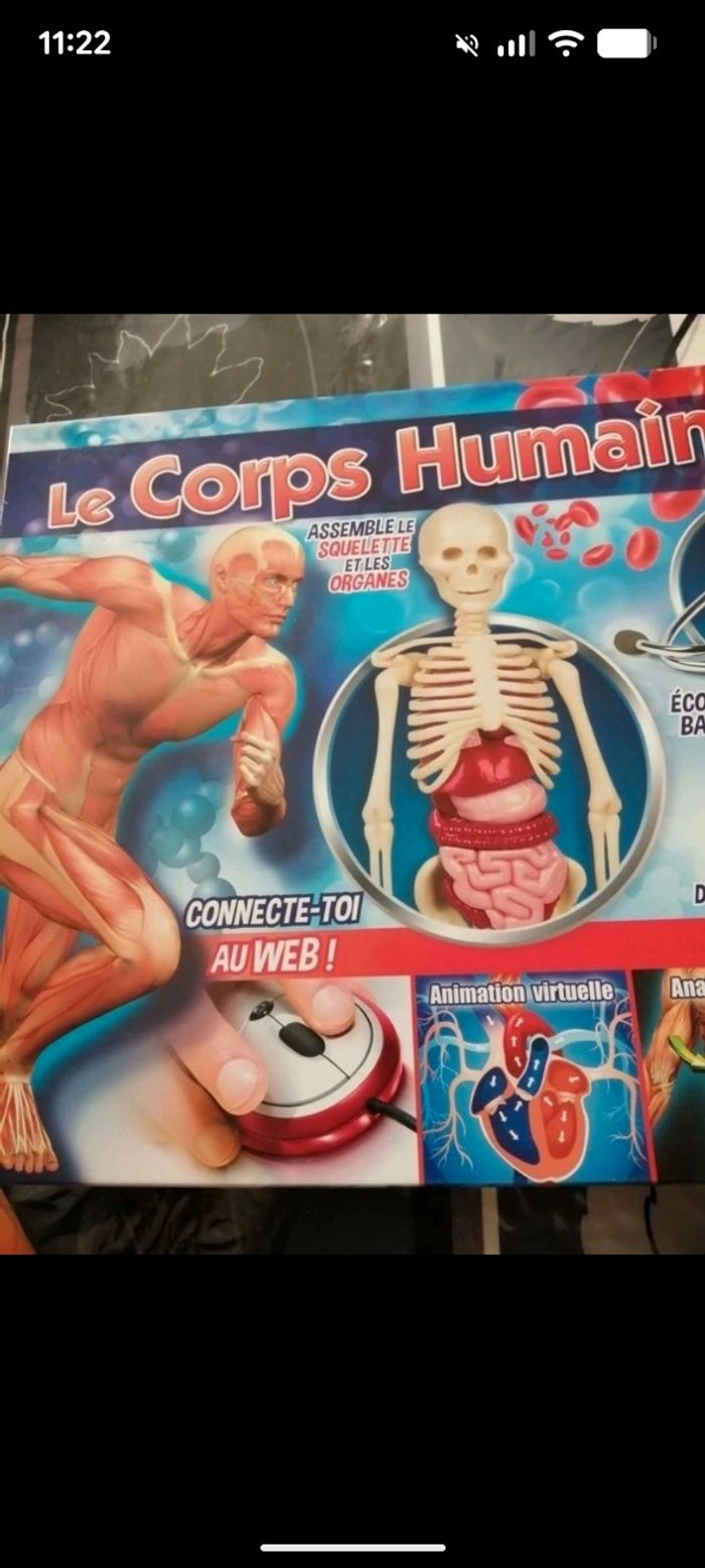 Jeux éducatifs, le corps humain science et jeux. À partir de 9 - photo numéro 6