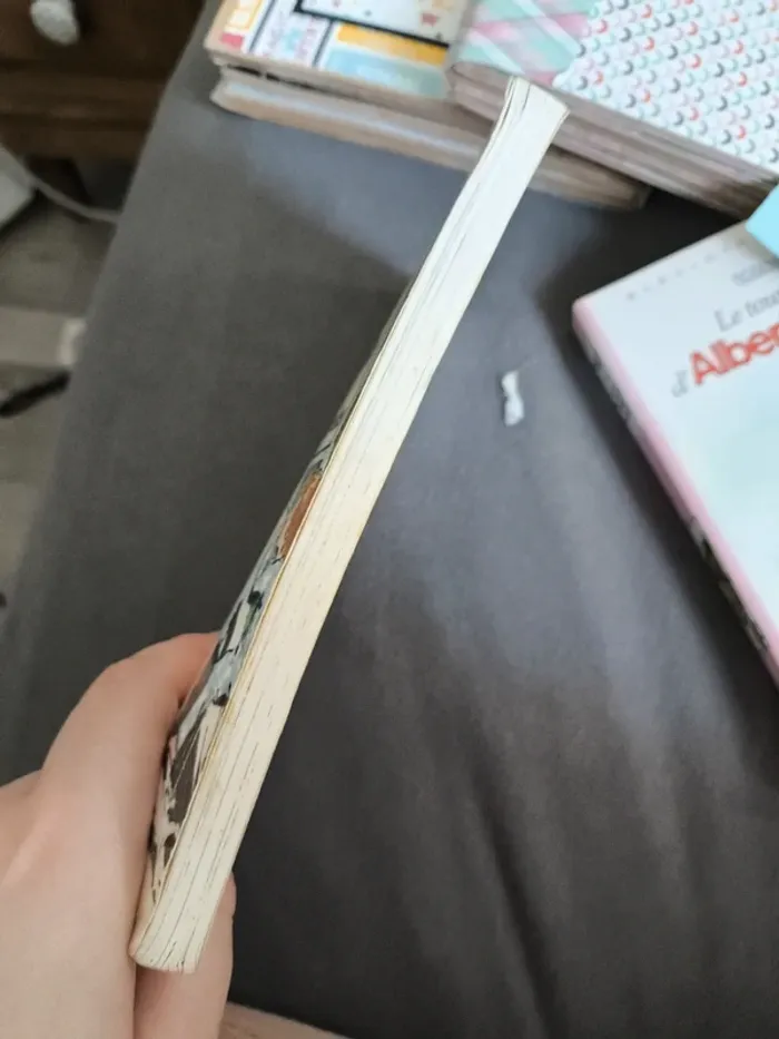 Livre "le fantôme de canterville" - photo numéro 4