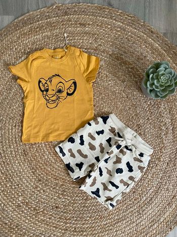 Ensemble roi lion simba disney orchestra 23 mois