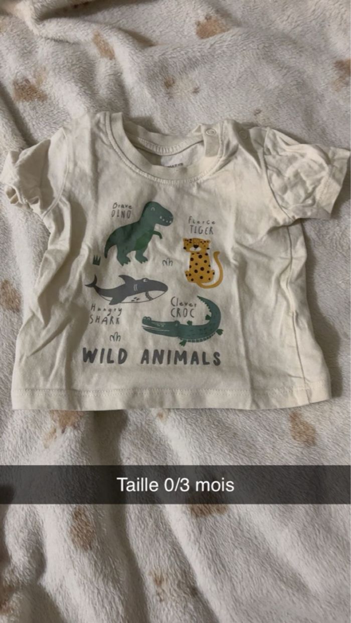 7 t-shirt - photo numéro 2