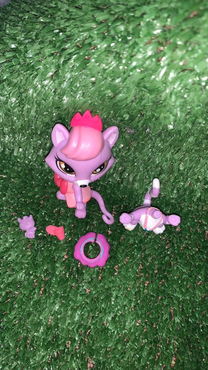 PetSop renard 🦊 rose - photo numéro 5