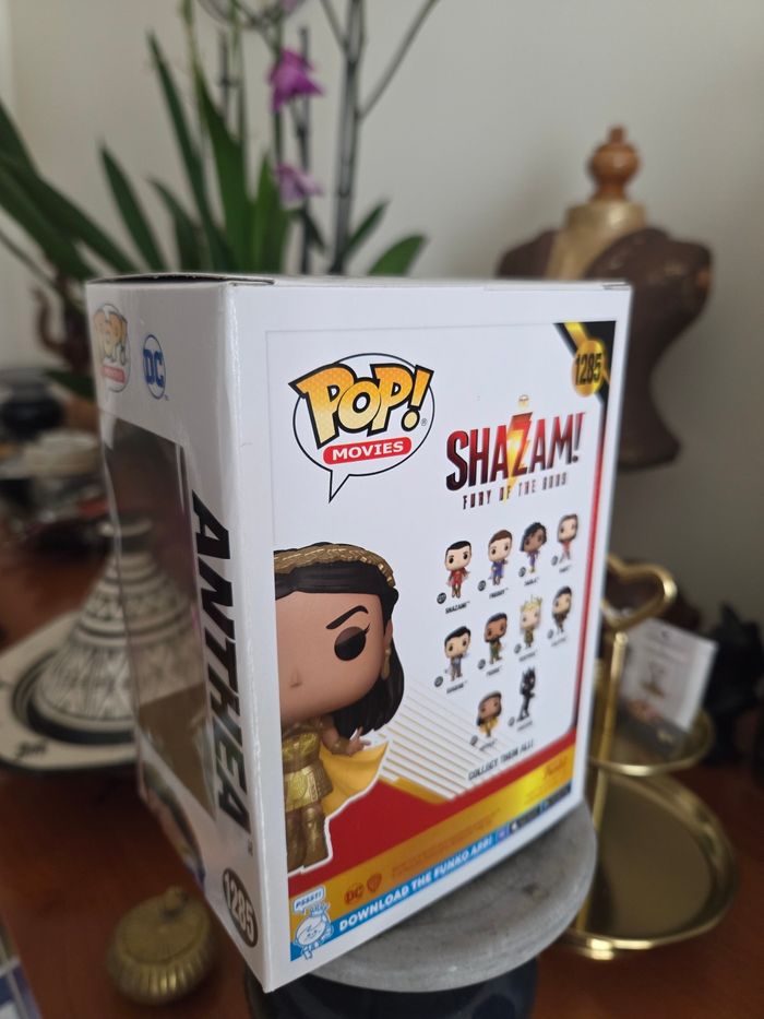 Pop Shazam Anthea - photo numéro 4