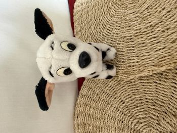  Dalmatien Disney des 101 Dalmatiens (6 pouces) vintage en peluche chien Applause Disney