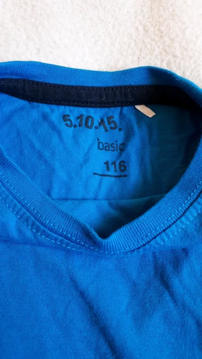 Tee shirt manches longues brodé salamandre garçon marque Basic taille 6 ans - photo numéro 2