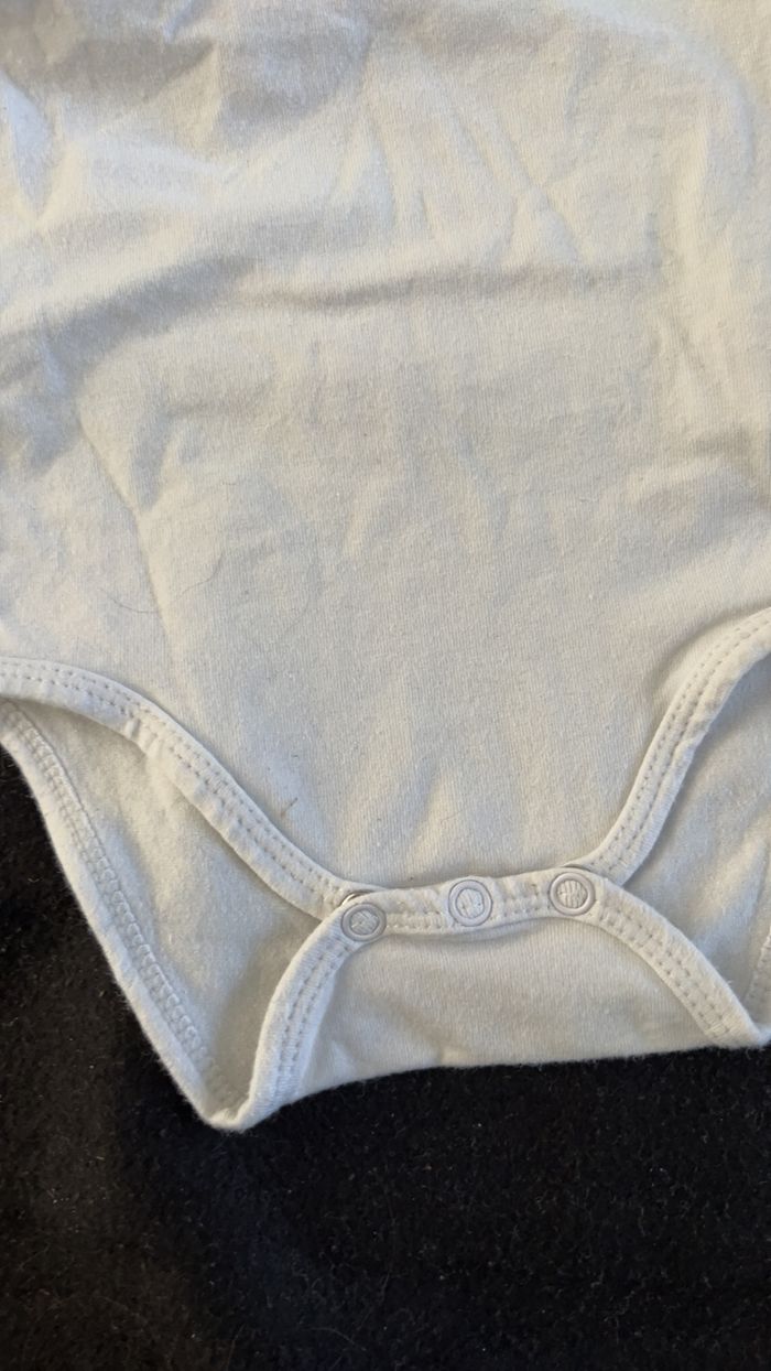 Bodie 3 mois - photo numéro 2