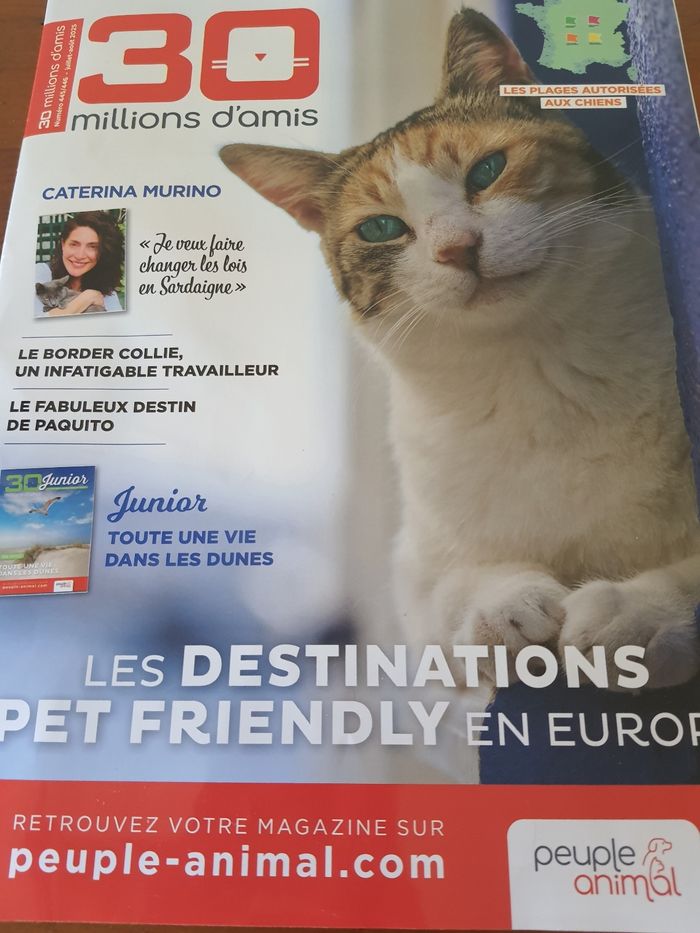 Magazine Juillet/Août 2025 - photo numéro 4