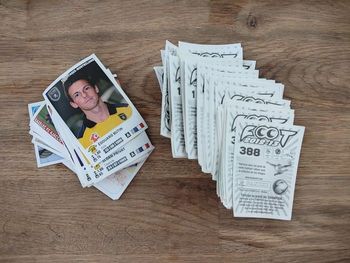 Panini 2012 2013