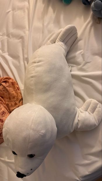 Peluche phoque 