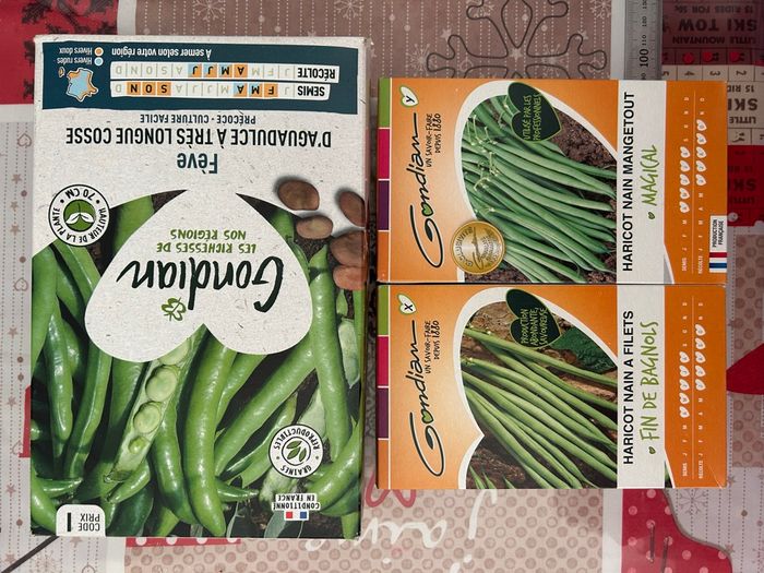 Gros lot de graines et semis légumes / salades - photo numéro 2