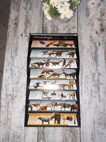 Livre Les dinosaures à la loupe