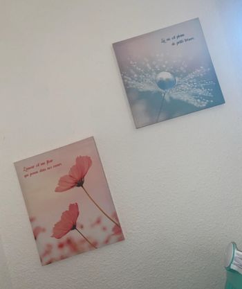 Lot de deux cadres décoratifs en toile