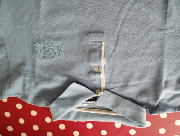 Polo homme Cambridge - photo numéro 2