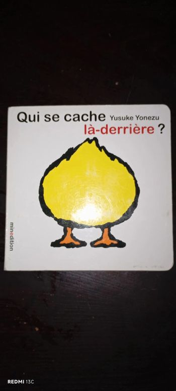 Qui se cache la derrière