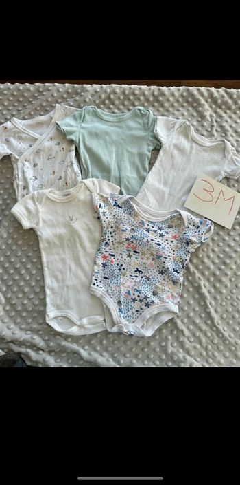 Lot de 5 bodies manches courtes 3M