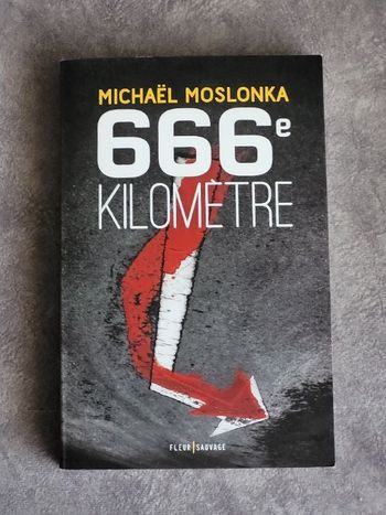 666e Kilometre Par Michaël Moslonka