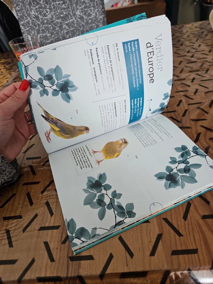 Livre sur les oiseaux - photo numéro 10