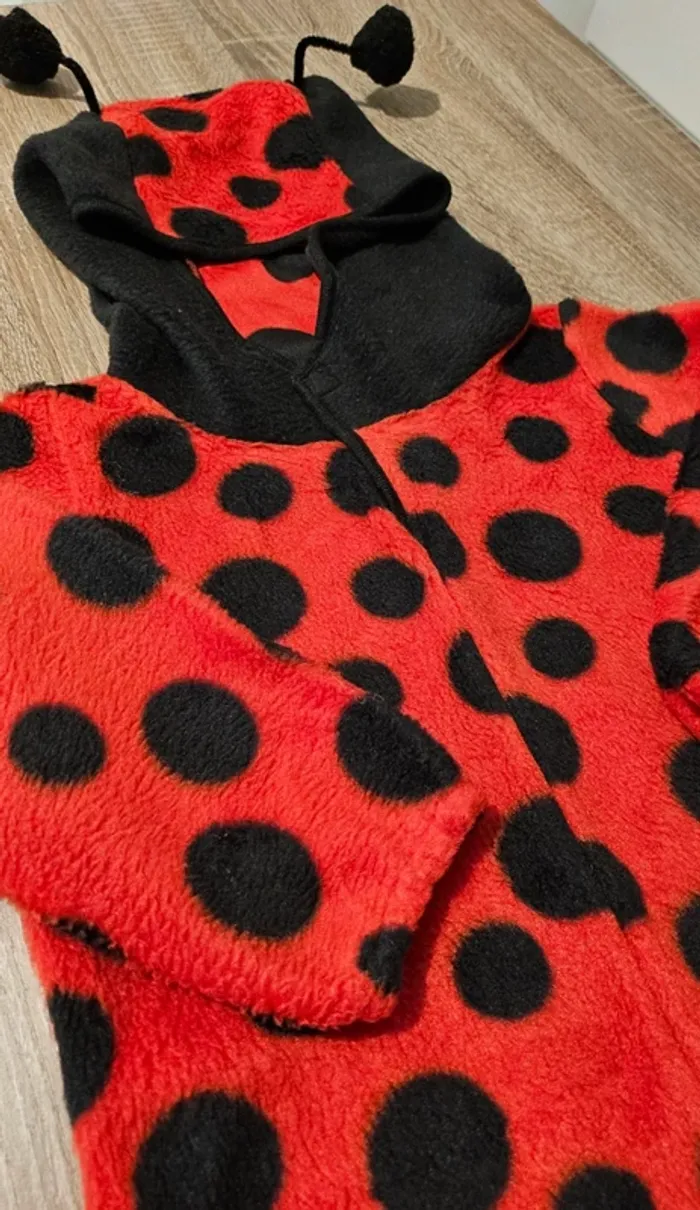 Costume coccinelle 18/24 mois - photo numéro 10