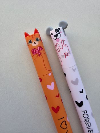 Lot de 2 stylos animaux collection saint valentin