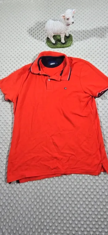 Polo L