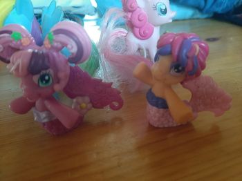 Lot de petit poneys