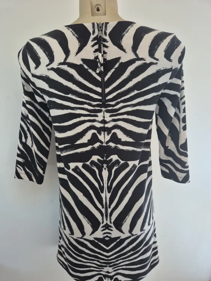 Robe zèbre taille xs h&m - photo numéro 5