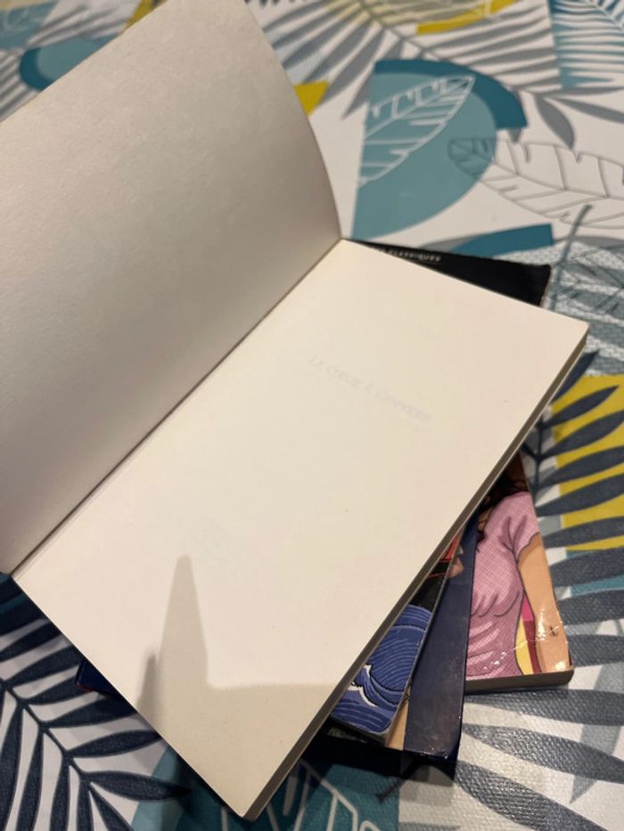 Livre ado et pré ado - photo numéro 17