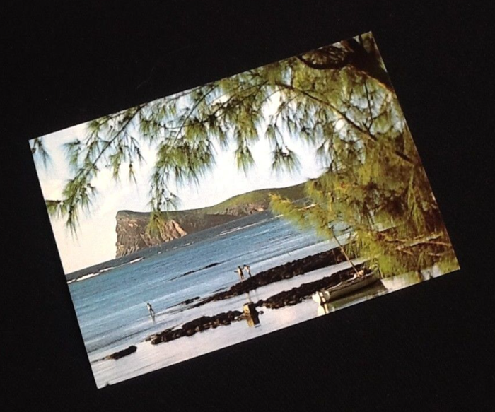 3 Cartes postales Ile Maurice Montagne du Rempart /Le coin de Mire /Une cabane de la Campagne - photo numéro 3