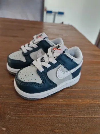Nike dump low 18.5