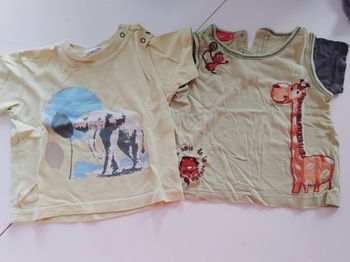 Lot 2 tee-shirts 2ans