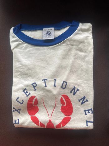 Lot n’3 de 2 T-shirts MC Petit Bateau garçon 5 ans