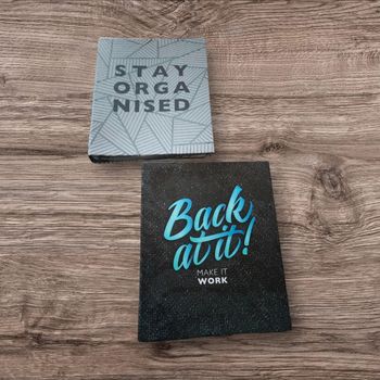 Lot de 2 classeurs A4 – Très bon état 📚