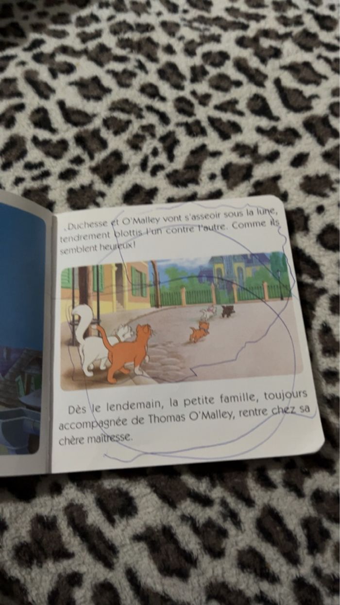 Livre Disney - photo numéro 3